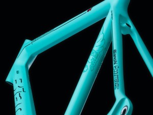 Bianchi Specialissima CounterVail (6)