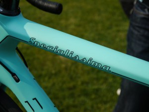 Bianchi Specialissima CounterVail (8)