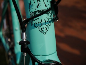 Bianchi Specialissima CounterVail (9)