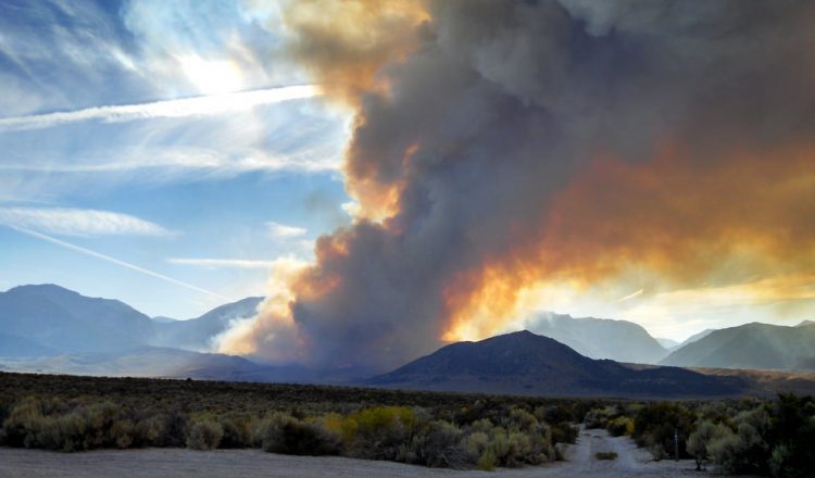 inyo nationa forest fire
